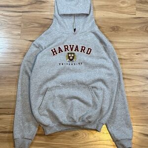 Champion Women’s XL Harvard Hoodie Gray